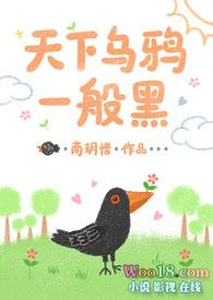 天下乌鸦一般黑1v2h南