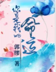 你是我的命运 百度