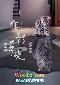 倒影浮光番外笔趣阁