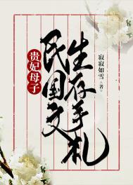 贵妃母子民国文生存手札沐颜