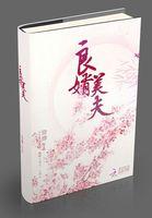 良婿美夫好看吗