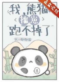 我的熊猫不服