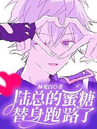 陆少蜜宠小甜心替身新娘