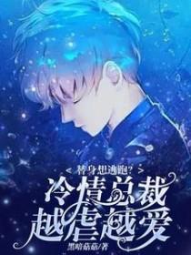 掌中雀txt百度