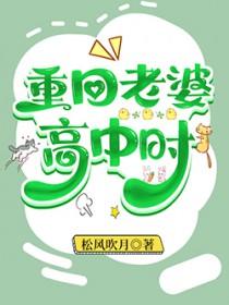重回老婆高中时TXT
