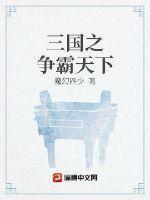 三国之争霸天下大结局