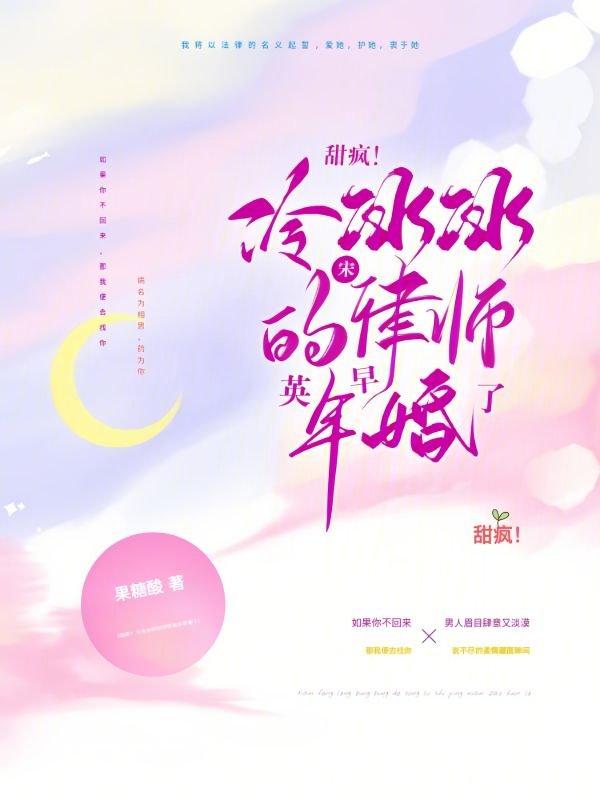 辩护人宋律师原型