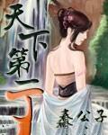 天下第一丁无删减版全本笔趣阁