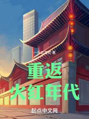 重返火红年代笔趣阁