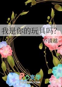 我是你的玩具吗?