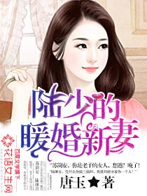 陆少的暖婚新妻 唐玉