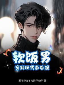穿越古代当小白脸的
