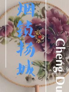 少帅夫人跑了