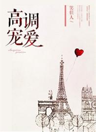 高调宠爱作者笑佳人