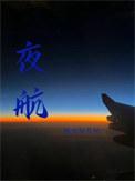 夜航的飞机能向蝙蝠一样在夜里飞行