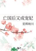 亡国后又成宠妃星辉映川TXT