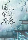 公府小少爷找回来了作者凤九幽