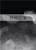 京洛再无佳人类似的高干西城往事