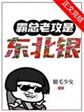 霸总老攻是东北银书评