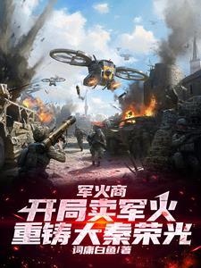 红海行动体会