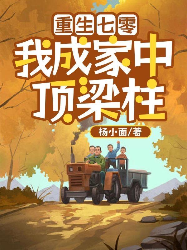 重生七零我成家中顶梁柱短更