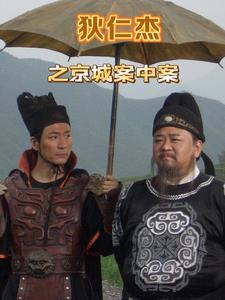 狄仁杰断案传奇 京师案