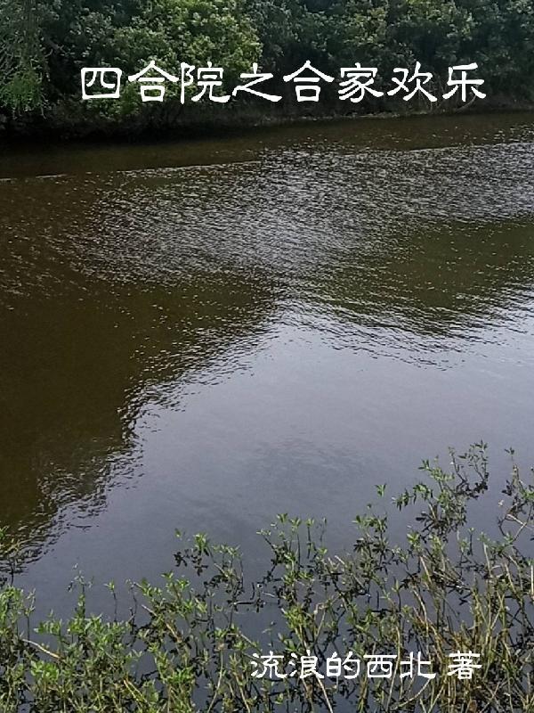 四合院电视剧有哪些