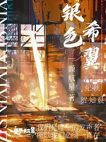 银色羽翼