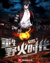 重生之野火时代88