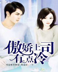 傲娇上司有点冷有声书
