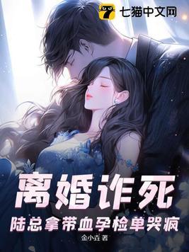 陆总 夫人要离婚