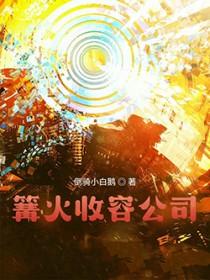 篝火收容公司无防盗