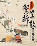 重生之鸳鸯拆散百度
