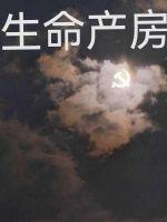 搜一下生命