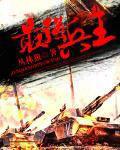 最强兵王苏锐
