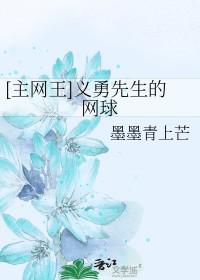 网王义勇先生的网球
