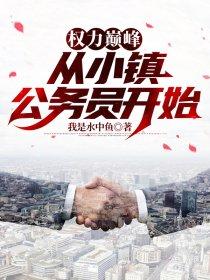 权力巅峰从小镇公务员开始 第193章