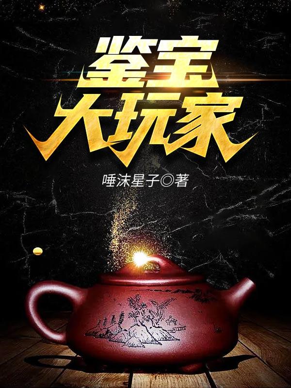 鉴宝大玩家免费阅读