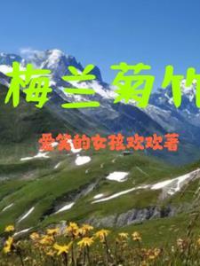 梅兰菊竹四君子