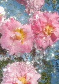 涉江采芙蓉兰泽多芳草
