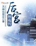 后宫林菀传讲的什么