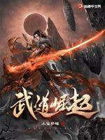 武道武者
