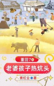 重回70老婆孩子热炕头煮红尘