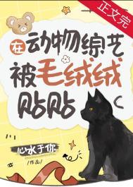 支付宝钱包手机版
