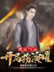 绑定气运开局获得白胡子模板txt