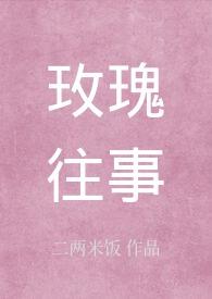 玫瑰往事电视剧