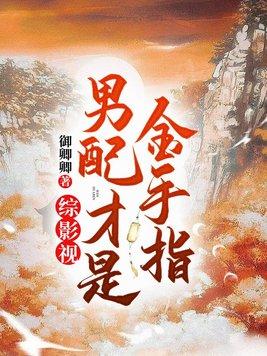 综影视男配才是金手指 进忠消失了吗
