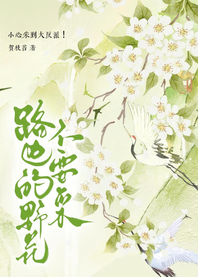 广场舞路边的野花不能踩