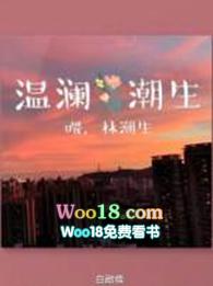 温澜潮生by羊拐讲的什么