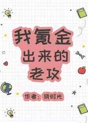 我氪金出来的老攻txt